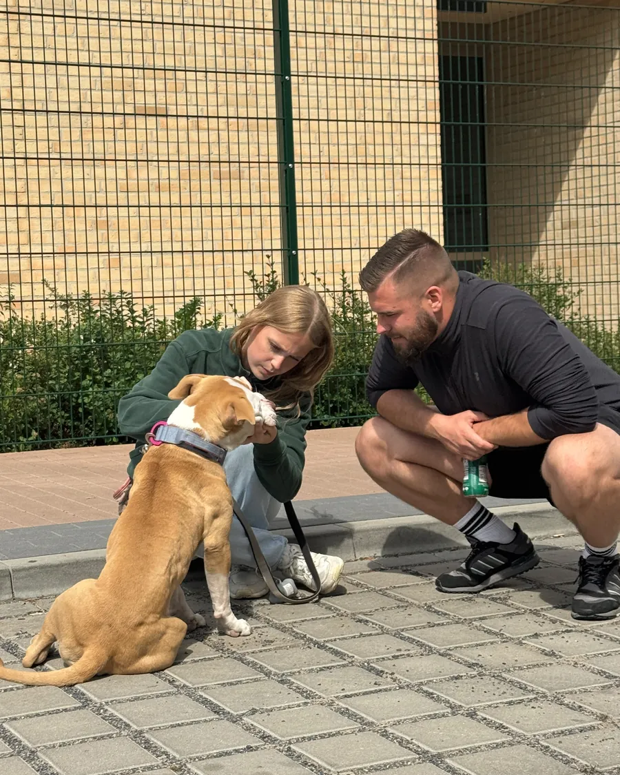 Leon Weisbecker bespricht im Einzeltraining eine Übung mit einer Halterin und ihrem Hund