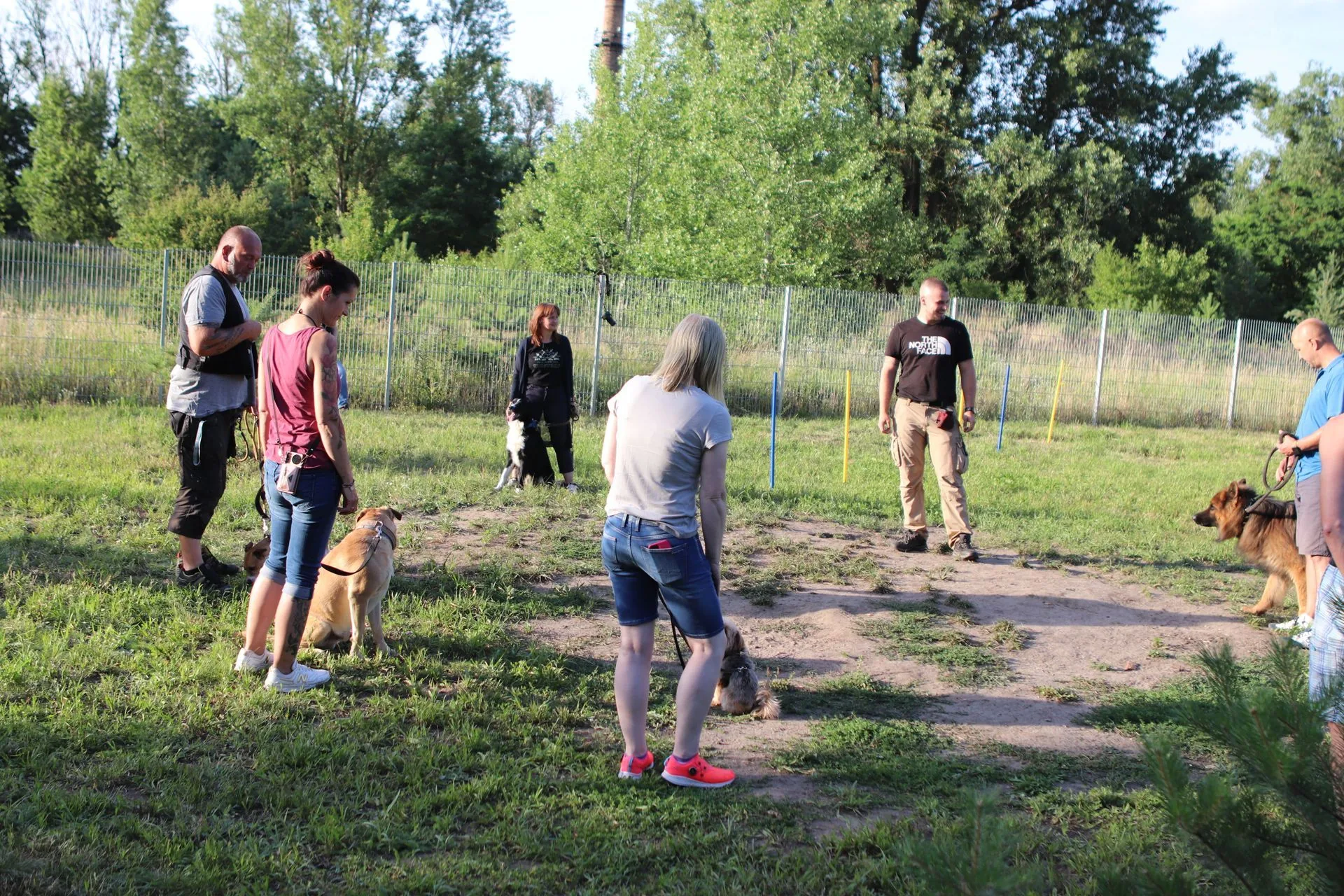 Gruppentraining auf dem Trainingsplatz mit mehreren Hunden und ihren Haltern
