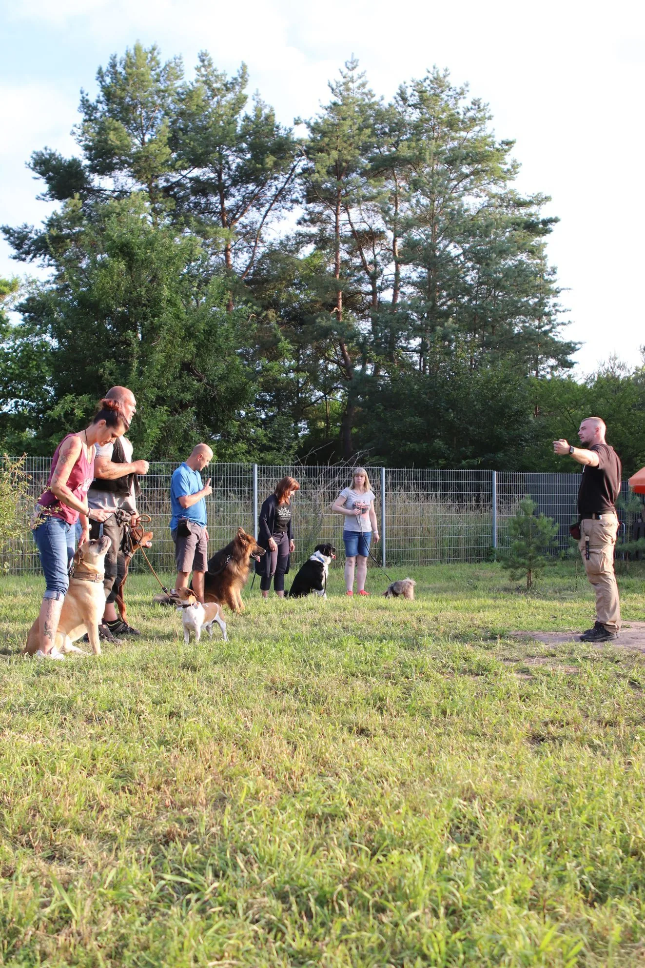 Mehrere Mensch-Hund-Teams üben gemeinsam auf dem Trainingsplatz