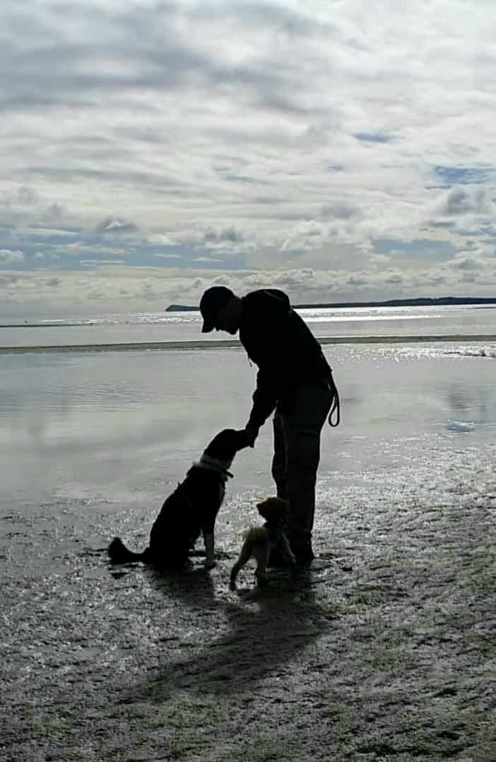 Silhouette von Hund und Halter am Strand, der Hund gibt vertrauensvoll die Pfote